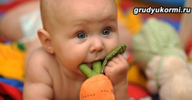 Детское питание морковное пюре