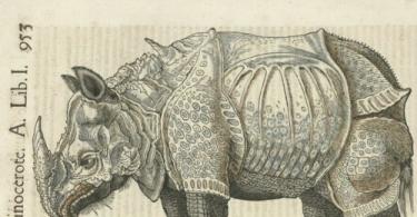Historiae Animalium — Истории животных