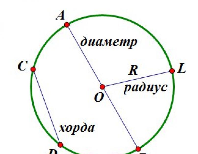 Изобразить окружность центр радиус диаметр хорда. Окружность радиус диаметр хорда. Окружность радиус диаметр хорда дуга. Круг радиус диаметр хорда. Хорда и радиус окружности.